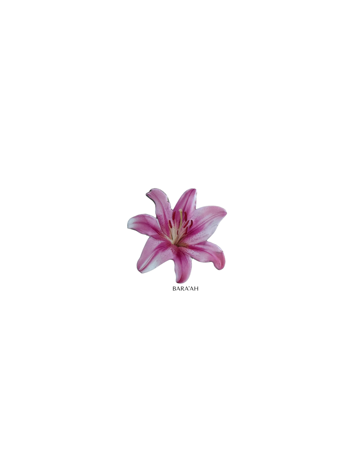 Pink Flower