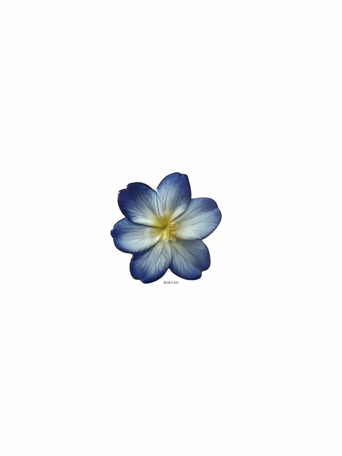 Blue flower