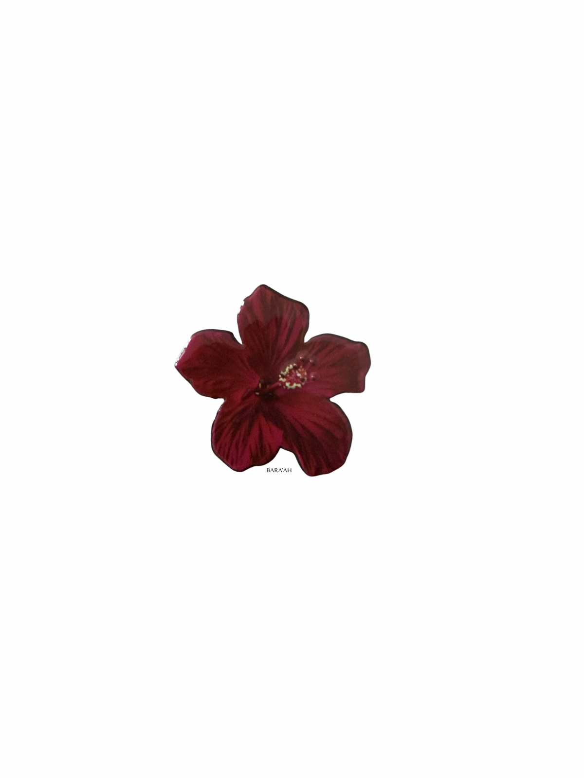Red hibiscus flower