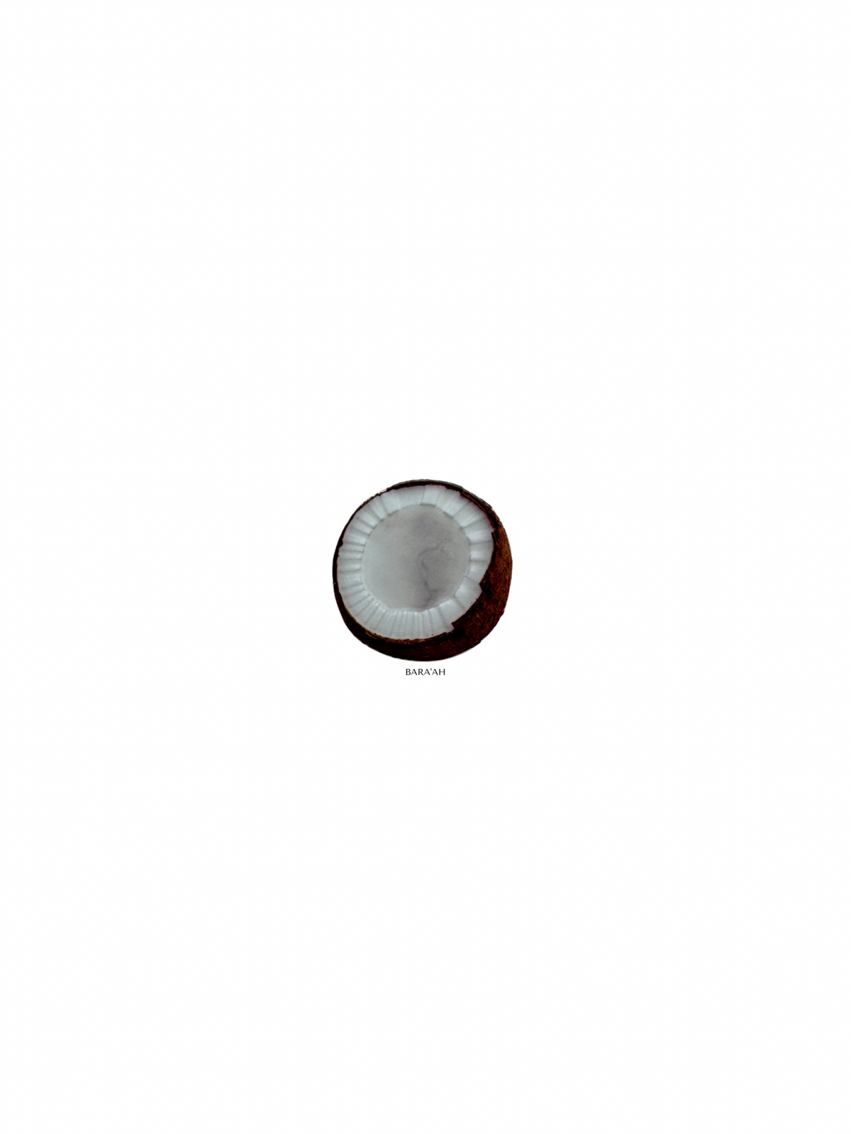 Coconut
