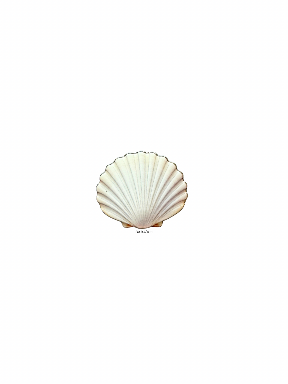 Shell